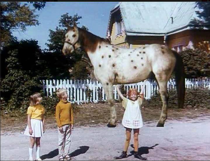 "THIS HORSE IS A METAPHOR FOR EVERYTHING I HATE ABOUT HORSES!!"
